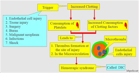 dic workup|disseminated intravascular coagulation image.